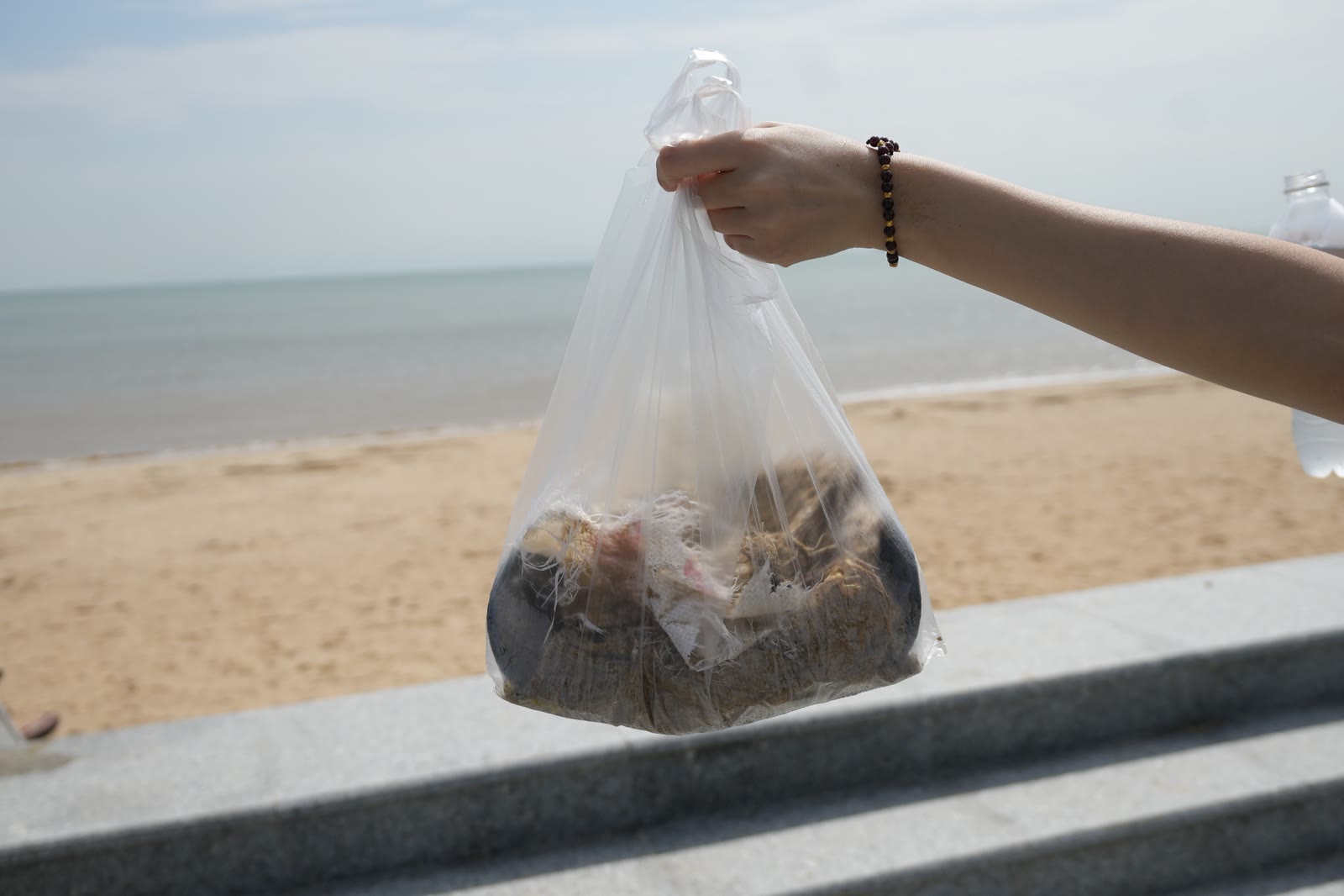 实地调研中收集的海滩垃圾
